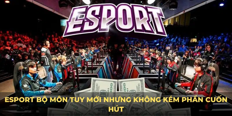 Esport bộ môn tuy mới nhưng không kém phần cuốn hút